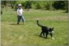 Kattints a megnyitshoz dsc05141_t1.jpg